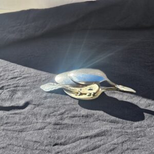 spoon birds