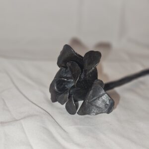 rose with straight stem