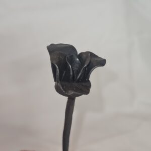 single rose