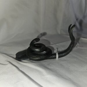 snail