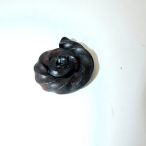 ammonite