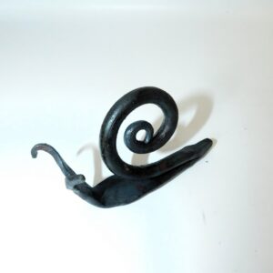 Snail